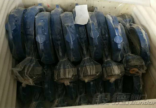 般德渦輪蝶閥、止回閥、過濾器等出口以色列