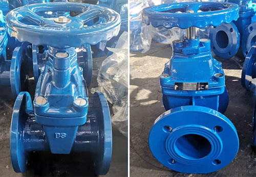 以色列某公司采購般德蝶閥、閘閥等產(chǎn)品