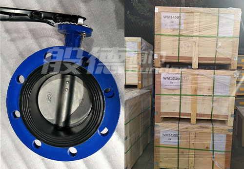 般德蝶閥、止回閥產(chǎn)品出口印度尼西亞