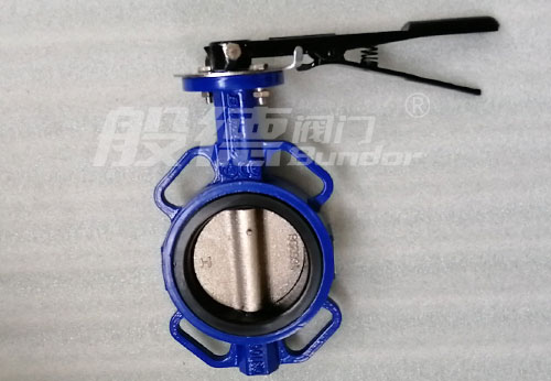 般德蝶閥、止回閥、閘閥產(chǎn)品出口柬埔寨