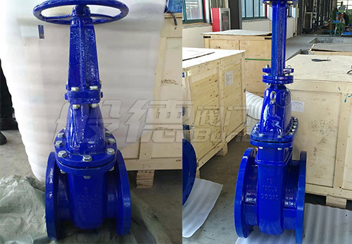 般德軟密封閘閥、硬密封閘閥等出口意大利