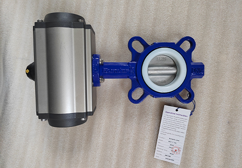 般德波紋管截止閥、對夾蝶閥產(chǎn)品出口印尼